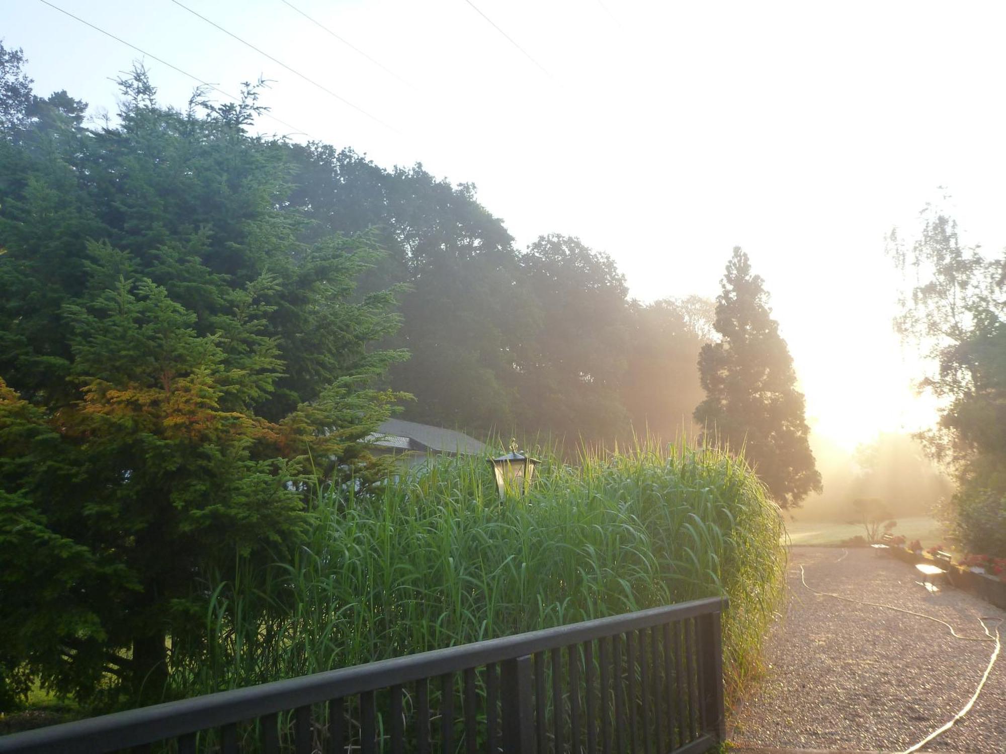 Romantik Waldhotel Mangold Bergisch Gladbach Esterno foto